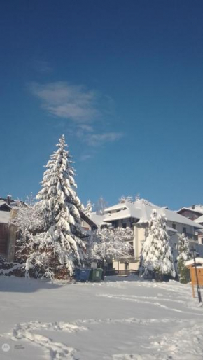 Nenad Jevtić Zlatibor